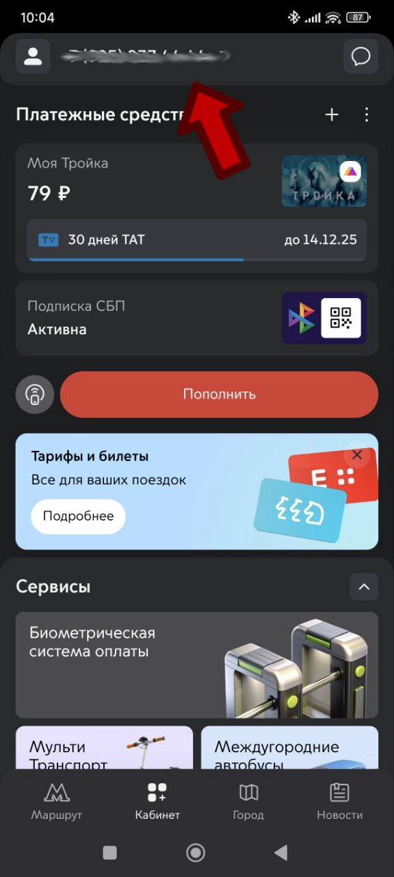 Снимок с экрана телефона из приложения Метро москвы